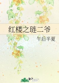 《红楼之琏二爷》