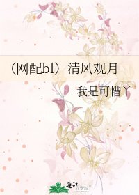 《(网配bl)清风观月》