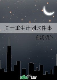 《关于重生计划这件事》