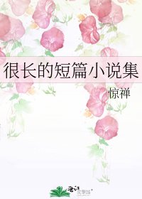 《很长的短篇集》