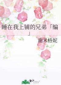 《睡在我上铺的兄弟「编」》
