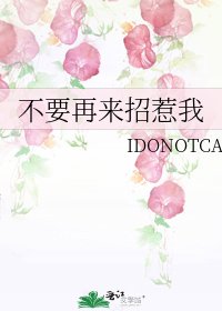 《不要再来招惹我》
