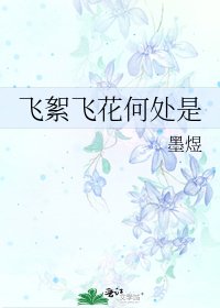 《飞絮飞花何处是》