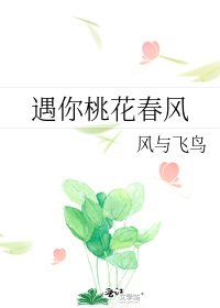 《遇你桃花春风》