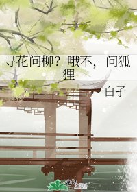《寻花问柳?哦不,问狐狸》