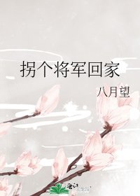 《拐个将军回家》