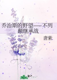 《乔治斯的野望——不列颠继承战》
