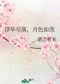 《浮华尽落,月色如洗》