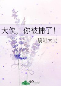 《大侠,你被捕了!》