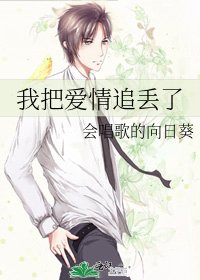 《我把爱情追丢了》