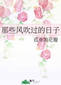 《那些风吹过的日子》