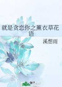 《就是贪恋你之薰衣草花语》