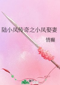 《陆小凤传奇之小凤娶妻》