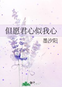 《但愿君心似我心》