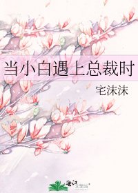 《当小白遇上总裁时》