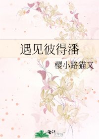 《遇见彼得潘》