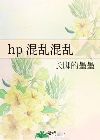 《hp 混乱混乱》