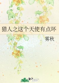 《猎人之这个天使有点坏》