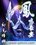 《凤鸣长安》