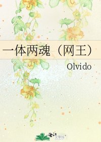《一体两魂(网王)》