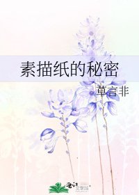 《素描纸的秘密》