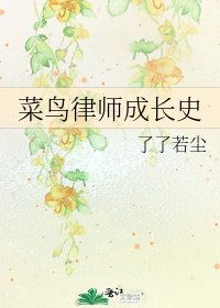 《菜鸟律师成长史》