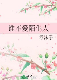 《谁不爱陌生人》