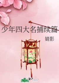 《少年四大名捕续篇》