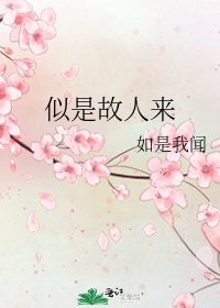 《似是故人来》