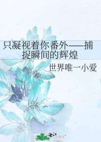 《只凝视着你番外——捕捉瞬间的辉煌》