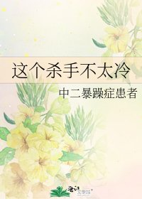 《这个杀手不太冷》