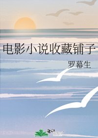 电影收藏铺子