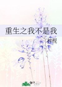 《重生之我不是我》