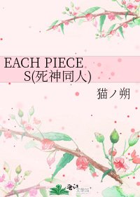《EACH PIECES(死神同人)》