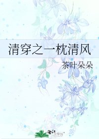 《清穿之一枕清风》