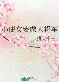 《小使女要做大将军》