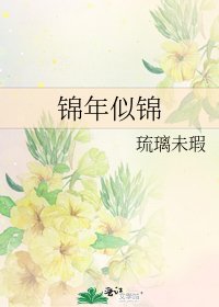 《锦年似锦》