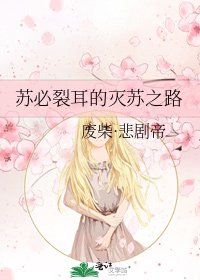 《苏必裂耳的灭苏之路》