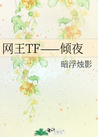 《网王TF——倾夜》