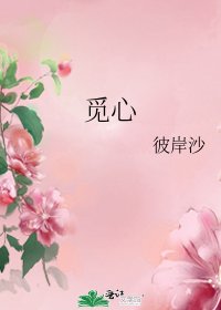 《觅心》