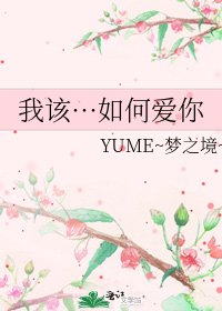 《我该…如何爱你》