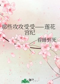 那些攻攻受受——莲花宫纪