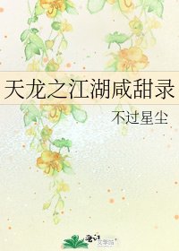 天龙之江湖咸甜录