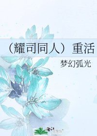 《(耀司同人)重活》