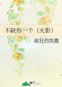 不缺你一个（火影）