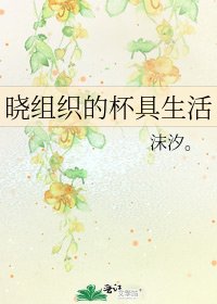 《晓组织的杯具生活》