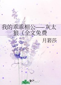 我的乖乖相公——灰太狼（免费
