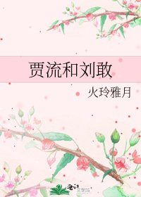 《贾流和刘敢》