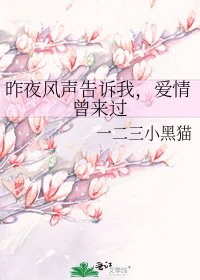 《昨夜风声告诉我,爱情曾来过》