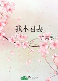 我本君妻